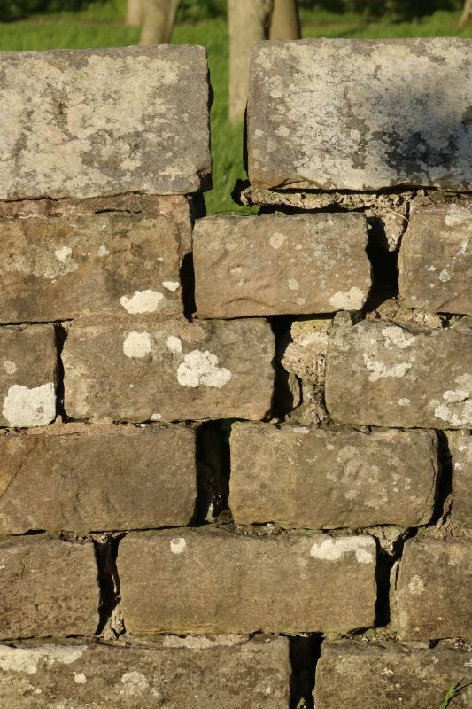 Stone Wall Repair in Vacaville, CA